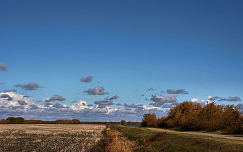 Nature, Trees, Autumn, Clouds, Road, Field, Agriculture HD wallpaper