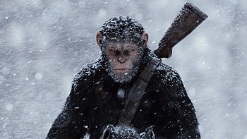 Planet of the Apes, War film, , Background HD wallpaper
