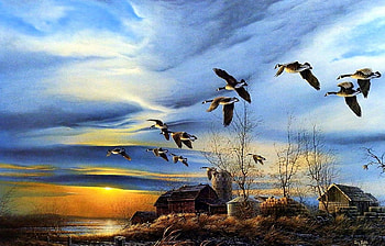 Silent Sunset, birds, sunsets, paintings, love four seasons, cottages, rural, clouds, trees, draw and paint, flying birds, nature, sky HD wallpaper