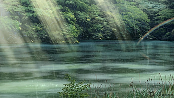 Kotonoha no Niwa / The Garden of Words Scenery HD wallpaper