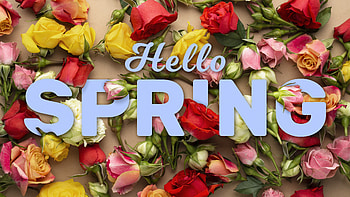 Hello Spring: Vibrant Artistic Floral Celebration, artistic, spring HD wallpaper