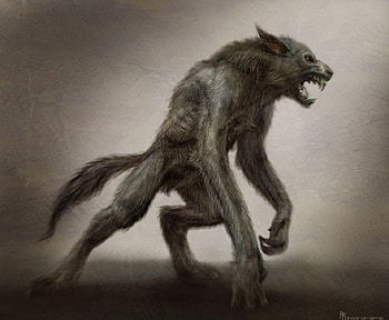 Warewolf Moon, silver, warewolf, moon, midnight HD wallpaper