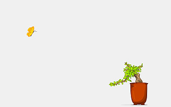 Plants HD wallpaper