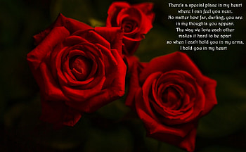 I Hold You In My Heart, roses, gorgeous, beautiful, precious, valentine, love, red, birtay, poem, happy, romantic, forever HD wallpaper
