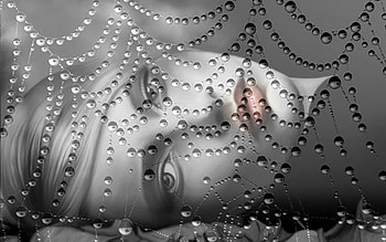 She is trapped behind the Web, fantasy, black and white, web, anstract, woman, dream HD wallpaper