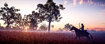 Battlefield 1 Game , battlefield-1, 2019-games, games HD wallpaper