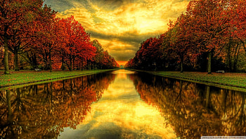 ღ.Beautiful Reflections.ღ, horizon, graphy, colors, gold, parks, trees, autumn, water, cloud, most ed, sunsets, beautiful, creative pre-made, love four seasons, lakes, leaves, yellow, sky, attraction in dreams, rivers HD wallpaper
