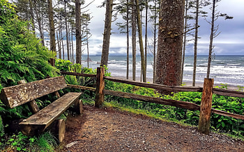 Washington State Travels - Ruby Beach, Locality, Washington DC HD wallpaper