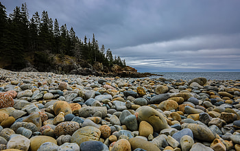 Nature, Stones, Beach, Forest, Spruce, Fir HD wallpaper