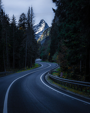 Nature, Trees, Mountain, Vertex, Top, Road, Winding, Sinuous HD phone wallpaper
