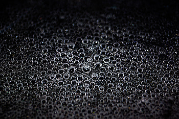 Bubbles, Macro, Liquid, Bw, Chb HD wallpaper
