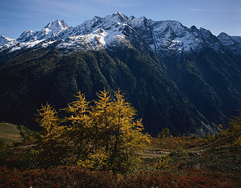 Nature, Trees, Mountains, Autumn, Leaves, Snow, Vertex, Tops, Grandeur, Greatness HD wallpaper