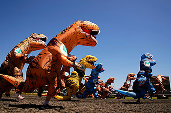 T-Rexes skydive and race at T-Rex World Championship, Tyrannosaurus Rex HD wallpaper