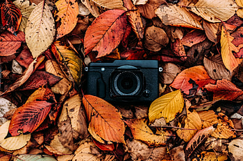 Autumn, Leaves, Foliage, Technologies, Technology, Camera HD wallpaper
