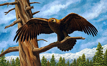 Golden Eagle, wings, bird, firs, raptor, artwork, painting, clouds, sky, mountains HD wallpaper