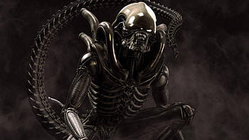 H.R. Giger, Alien , Biomechanical art HD wallpaper