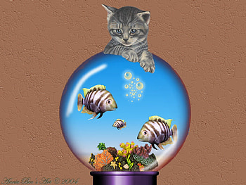 Just Looking, other, fish, cat, flowers HD wallpaper