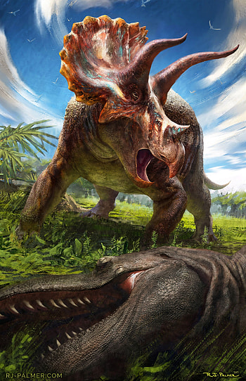Triceratops, Majestic creatures, Prehistoric beings, Ancient marvels HD phone wallpaper