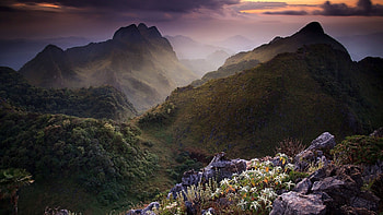 Grass, Rocks, mountains Full Background HD wallpaper