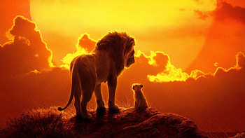 The Lion King Movie, the-lion-king, lion, 2019-movies, movies, disney, simba HD wallpaper