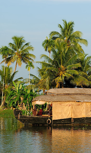 Kerala backwaters, Serene landscapes, Natural beauty, Tranquil destinations HD phone wallpaper