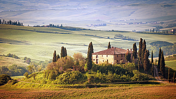 Tuscany, Cypress Tree HD wallpaper