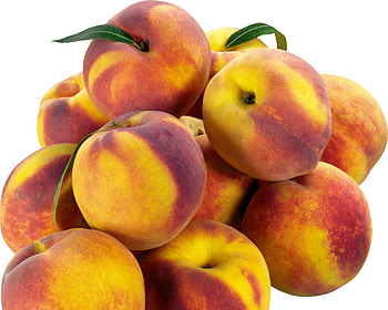 Fruits, Food, Peaches, Branch HD wallpaper