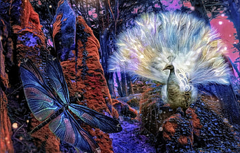 Dragonfly and white peacock, white, fantasy, art, red, dragonfly, peacock, pasari, blue, bird, libelula HD wallpaper