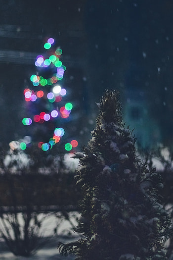 Holidays, Night, Snow, Lights, Glare, Christmas Tree HD phone wallpaper