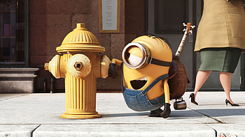 Minions animation, Official site, 3D Blu-ray DVD, Minions HD wallpaper