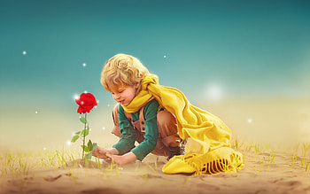 The Little Prince, blue, art, copil, rose, fantasy, boy, little prince, red, flower, yellow, child HD wallpaper