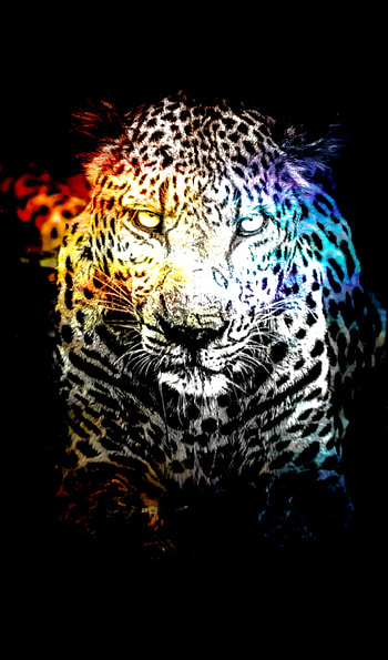 Leopard, Lebewesen, Licht, Textur, Tier, Bunt, wechselnd, schaten, Dunkel, Cool HD phone wallpaper