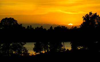 Trees, Sunset, Lake, Dark, Silhouettes HD wallpaper