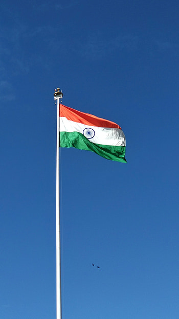 Tiranga, Independence Day HD phone wallpaper