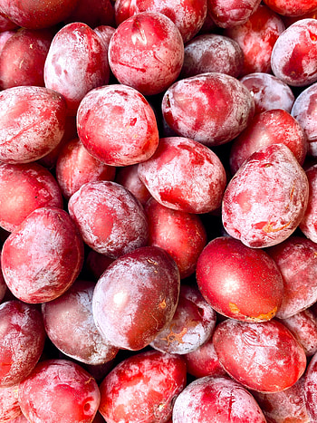 Fruits, Food, Plum, Macro HD phone wallpaper