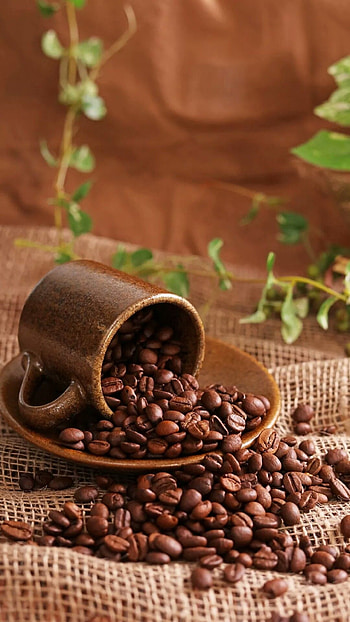 Irina sre coffee, Beans graphy coffee, Coffee, graphy HD phone wallpaper