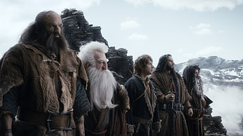 Desolation of Smaug, Movie review, Martin man, Ian McKellen HD wallpaper