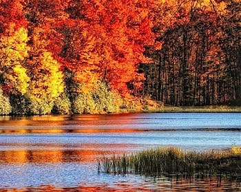 Autumn River, river, landscape, trees, colors, forest HD wallpaper