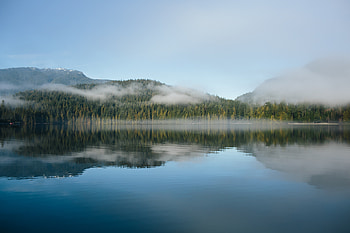 Forest Embrace Reflections On Still Waters, forest, reflection, nature HD wallpaper