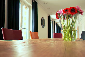 A contemporary dining room interior showcasing vibrant flowers in a vase on a wooden table. HD wallpaper