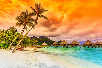 Tropical beach, Vacation, Resorts, Sand, Sea, Palm trees HD wallpaper