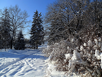 Landscape, Winter, Snow HD wallpaper