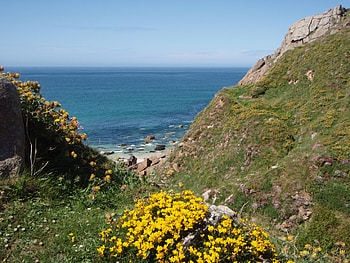 Path to Pendeen Beach, sunshine, summer, shantyman, devon, flowers, rocks HD wallpaper