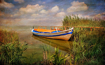 Canoe at Dusk, marshes, canoes, boats, nature, grass, rivers HD wallpaper