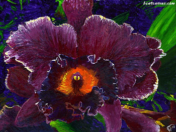 Magenta Orchid, orchid, magenta, art, flower HD wallpaper
