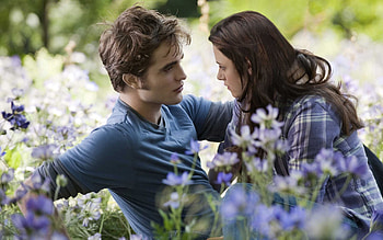Twilight, Moody atmosphere, Forbidden love, Supernatural romance HD wallpaper