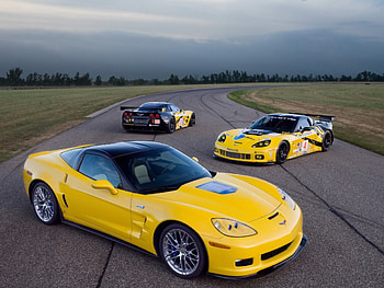 Chevrolet Corvette C6-R GT2 Duo 2009, c6-r, chevrolet, 2009, gt2, corvette, duo HD wallpaper