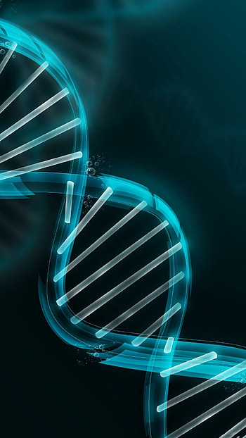dna Wp HD phone wallpaper