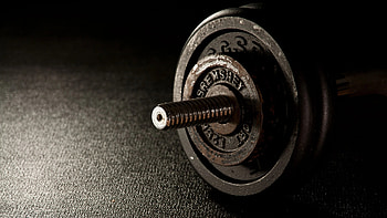 Barbell, Fitness HD wallpaper