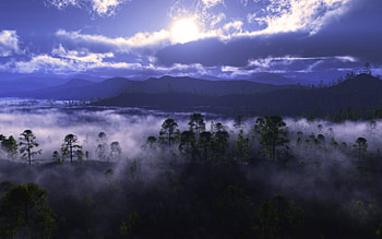 Nature, Trees, Mountains, Smoke, Fog HD wallpaper